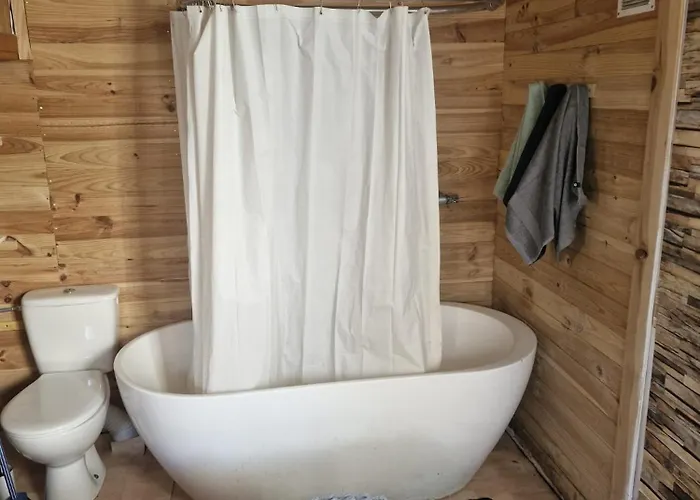 Paris Oasis * אנטוני